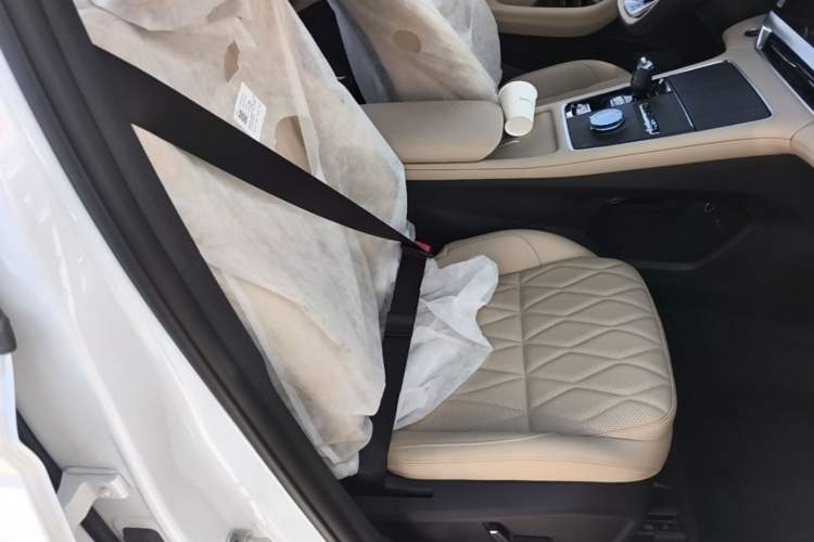 Used Geely Auto Monjaro L 2025 Dongfang Yao 2.0TD Automatic Lanxing Edition Right Front Seat