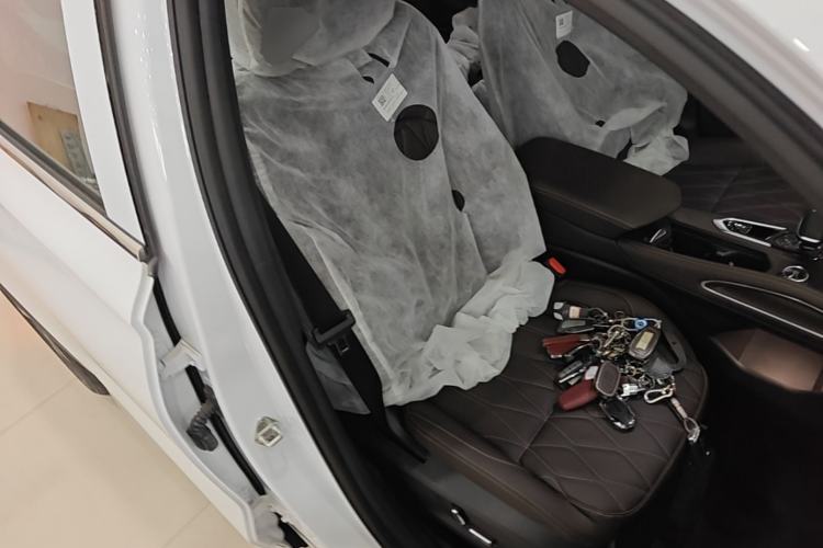 Used Geely Auto Monjaro L 2025 2.0TD Automatic Xingyun Version Right Front Seat