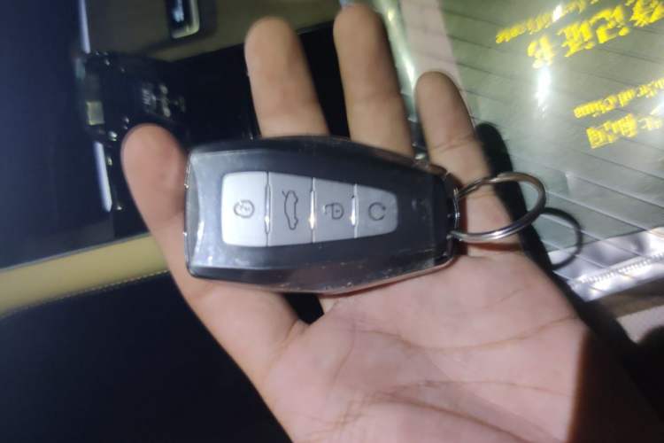 Used Geely Auto Monjaro L 2025 Dongfang Yao 2.0TD Automatic All-Wheel-Drive Wangyue Edition Vehicle Key