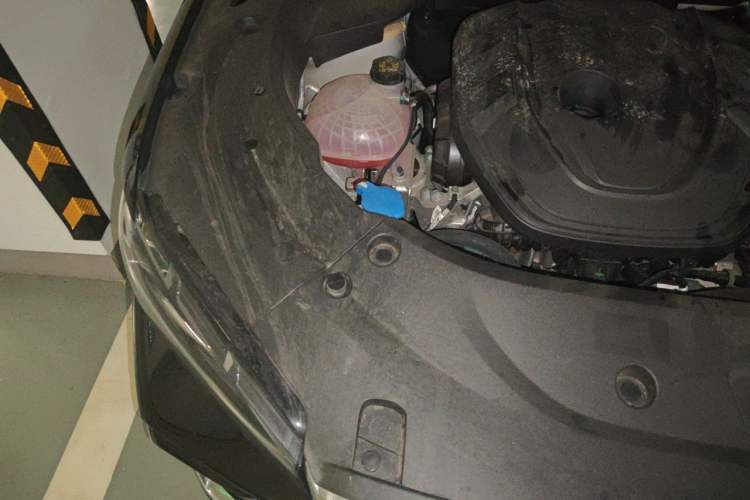 Used Geely Auto Monjaro L 2026 Model Oriental Yao 2.0TD Automatic Lanxing Edition Engine Bay Right