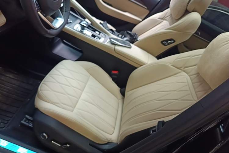 Used Geely Auto Monjaro L 2026 Model Oriental Yao 2.0TD Automatic Wangyue Edition Left Front Seat