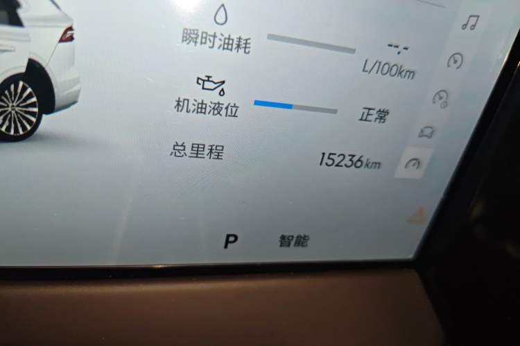 Used Geely Auto Monjaro L 2026 Model Oriental Yao 2.0TD Automatic Lanxing Edition Odometer Close Up