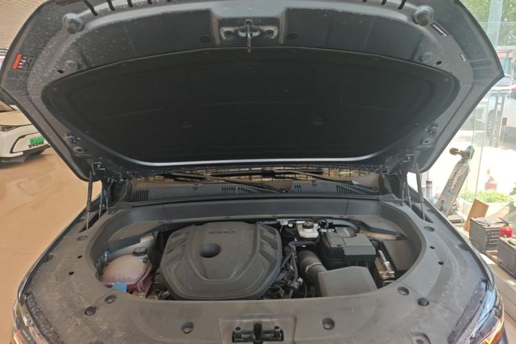 Used Geely Auto Monjaro L 2026 Model Oriental Yao 2.0TD Automatic Wangyue Edition Engine Bay