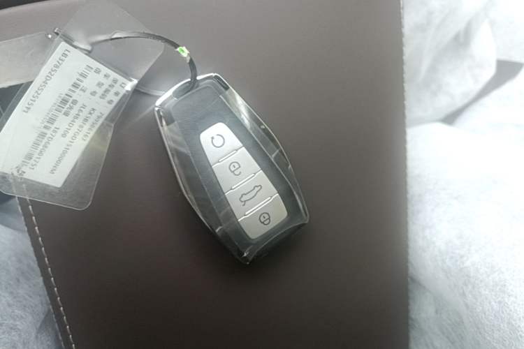 Used Geely Auto Monjaro L 2026 Model Oriental Yao 2.0TD Automatic Wangyue Edition Vehicle Key