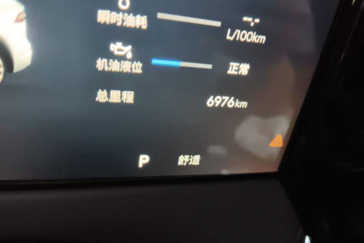 Used Geely Auto Monjaro L 2026 Model Oriental Yao 2.0TD Automatic Lanxing Edition Odometer Close Up