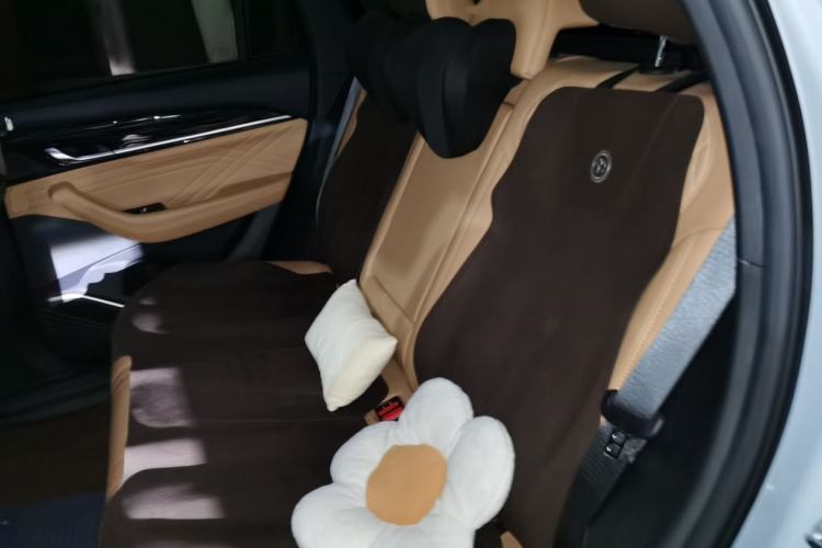 Used Geely Auto Monjaro L Extended Range Electric Version 2022 1.5T DHT Range-Extending Electric Flagship Edition Interior 4