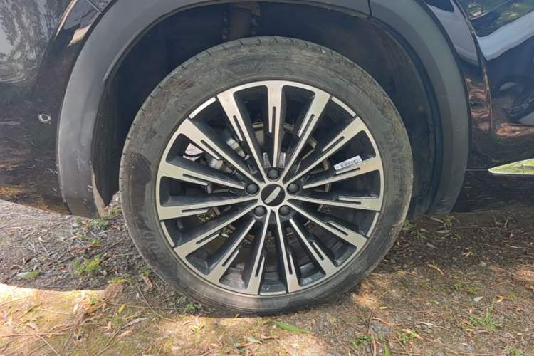 Used Geely Auto Monjaro L Intelligent Engine 2024 1.5T Tiangong Edition Exterior 5