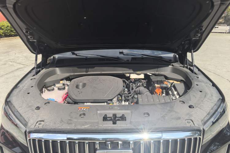 Used Geely Auto Monjaro L Intelligent Engine 2024 1.5T Tiangong Edition Exterior 5