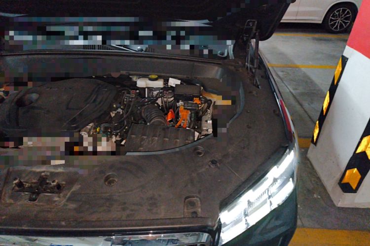 Used Geely Auto Monjaro L Intelligent Engine 2024 1.5T Tiangong Edition Engine Bay Left