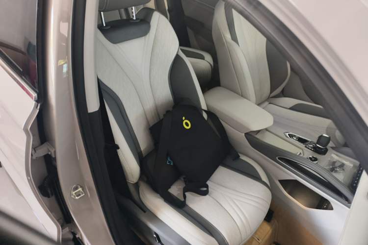 Used Geely Auto Monjaro L Intelligent Engine 2024 1.5T Galaxy Edition Right Front Seat