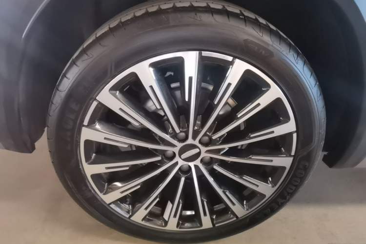 Used Geely Auto Monjaro L Intelligent Engine 2024 1.5T Tiangong Edition Exterior 5