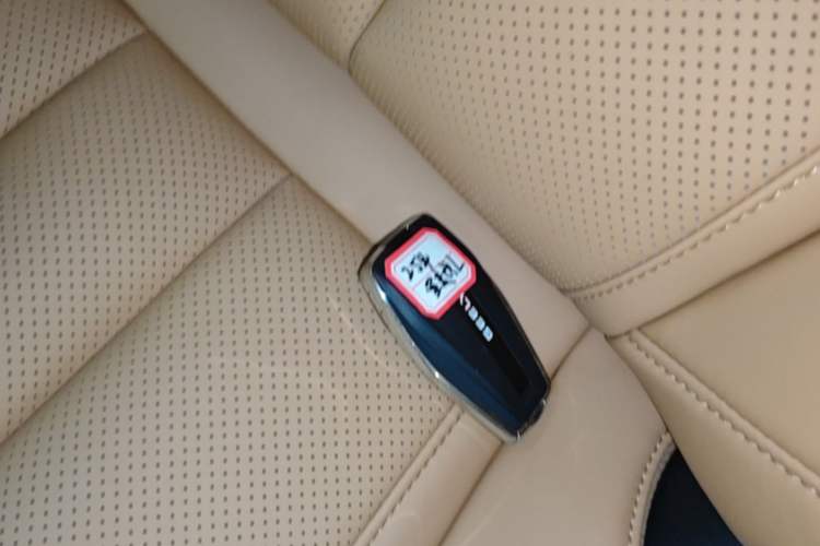 Used Geely Auto Monjaro L Intelligent Engine 2024 1.5T Tiangong Edition Interior 1