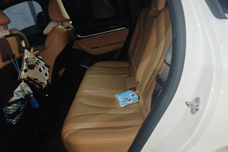 Used Geely Auto Monjaro L Intelligent Engine 2024 1.5T Tiangong Edition Left Rear Seat
