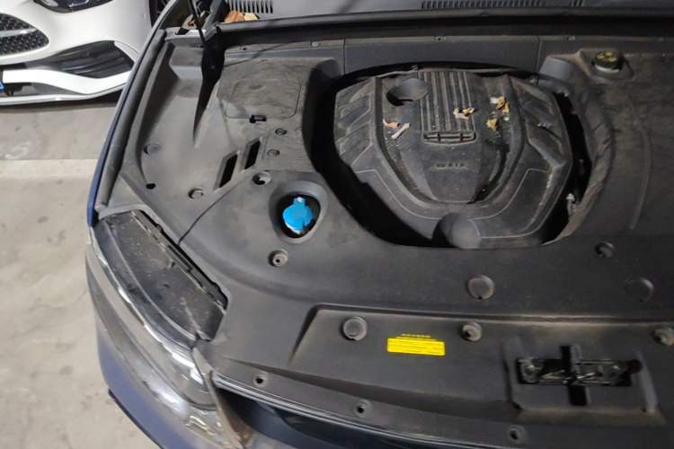 Used Geely Auto Monjaro New Energy 2019 400T Yuxingzhe Pure Electric Range 56 km Engine Bay Right