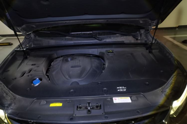 Used Geely Auto Monjaro New Energy 2019 400T Yuxingzhe Pure Electric Range 80 km Engine Bay