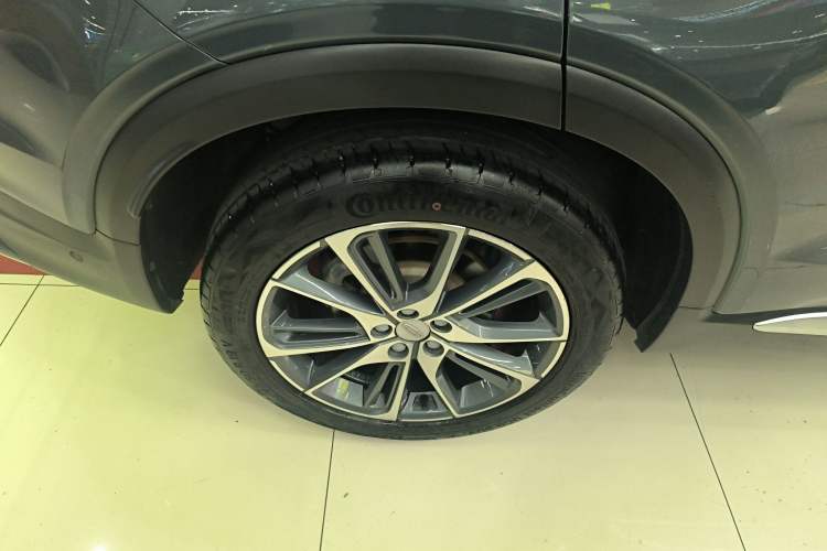 Used Geely Auto Monjaro New Energy 2019 400T Yuxingzhe Pure Electric Range 56 km Exterior 8