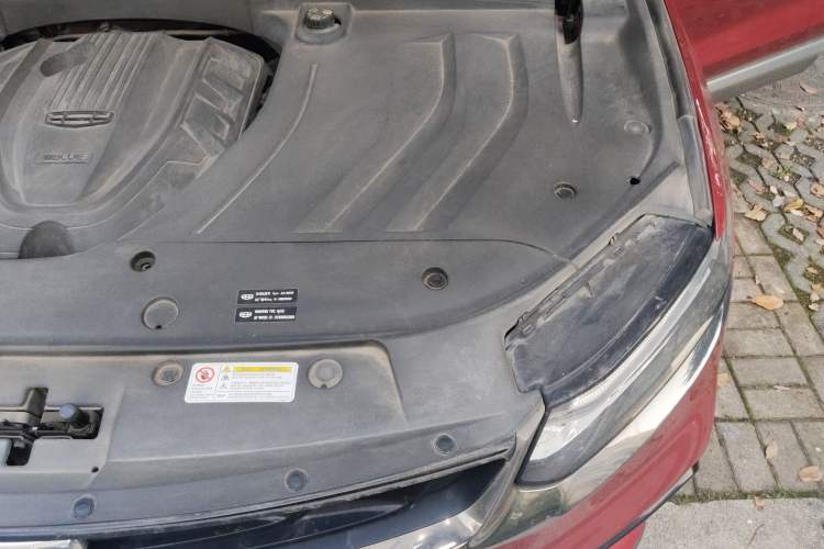 Used Geely Auto Monjaro New Energy 2019 400T Yuxingzhe Pure Electric Range 56 km Engine Bay Left