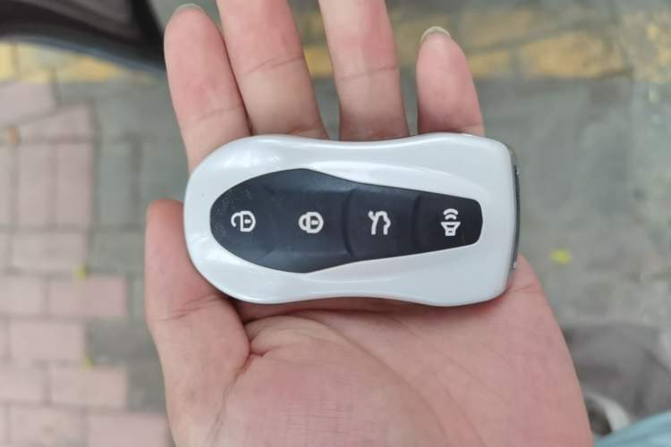 Used Geely Auto Monjaro New Energy 2019 400T YAOXINGZHE Pure Electric Range 80 KM Vehicle Key