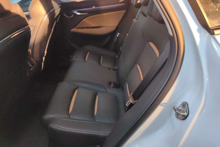Used Geely Auto Monjaro New Energy 2019 400T Yuxingzhe Pure Electric Range 80 km Left Rear Seat