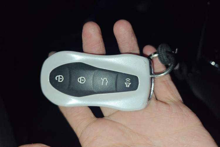 Used Geely Auto Monjaro New Energy 2021 ePro YAOXINGZHE Pure Electric Range 56 KM Vehicle Key