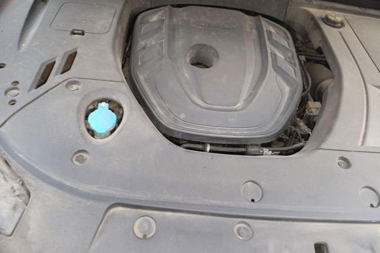 Used Geely Auto Monjaro S 2021 2.0TD DCT Two-Wheel Drive Lightning Edition Engine Bay Right