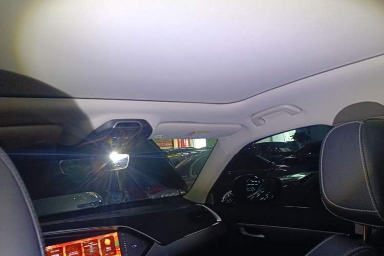 Used Geely Auto Monjaro S 2021 2.0TD DCT Two-Wheel Drive Lightning Edition Headliner