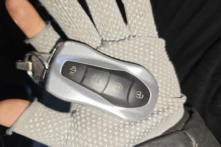 Used Geely Auto Monjaro S 2021 2.0TD DCT Two-Wheel Drive Lightning Edition Interior 1