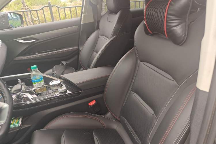 Used Geely Auto Monjaro S 2021 2.0TD DCT Two-Wheel Drive Lightning Edition Left Front Seat