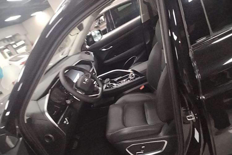 Used Geely Auto Monjaro S 2021 2.0TD Automatic Two-Wheel Drive Lightning Edition Left Front Seat