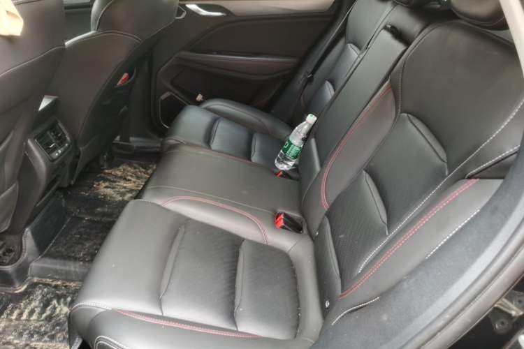 Used Geely Auto Monjaro S 2021 2.0TD DCT Two-Wheel Drive Lightning Edition Left Rear Seat