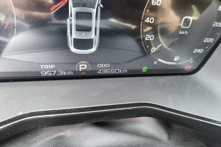 Used Geely Auto Monjaro S 2021 2.0TD Automatic Two-Wheel Drive Lightning Edition Odometer Close Up
