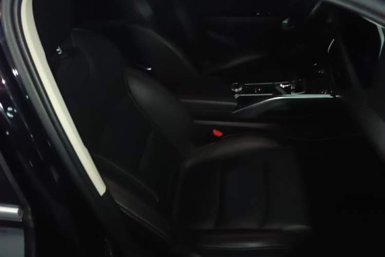 Used Geely Auto Monjaro S 2021 2.0TD DCT Two-Wheel Drive Lightning Edition Right Front Seat