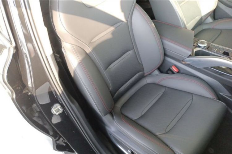Used Geely Auto Monjaro S 2021 2.0TD DCT Two-Wheel Drive Lightning Edition Right Front Seat