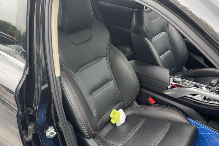 Used Geely Auto Monjaro S 2021 2.0TD DCT Two-Wheel Drive Lightning Edition Right Front Seat