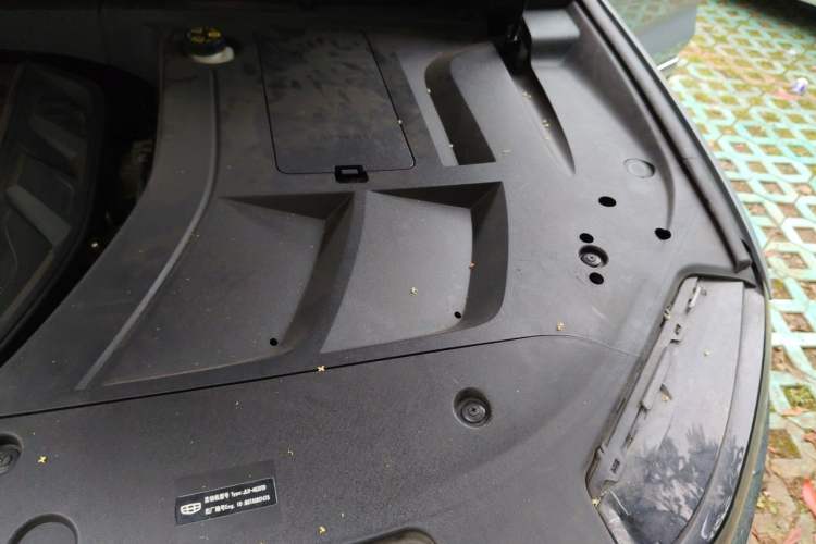 Used Geely Auto Monjaro S 2021 2.0TD DCT Two-Wheel Drive Lightning Edition Engine Bay Left