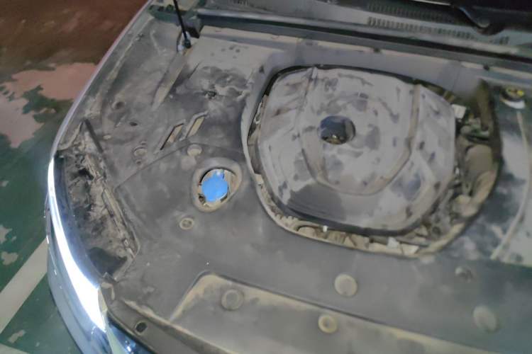 Used Geely Auto Monjaro S 2021 2.0TD Automatic Two-Wheel Drive Lightning Edition Engine Bay Right