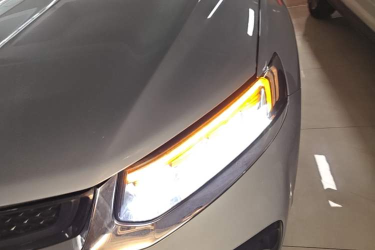 Used Geely Auto Monjaro S 2021 2.0TD DCT Two-Wheel Drive Lightning Edition Left Front Headlight