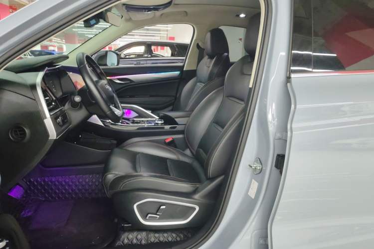Used Geely Auto Monjaro S 2021 2.0TD DCT Two-Wheel Drive Lightning Edition Left Front Seat