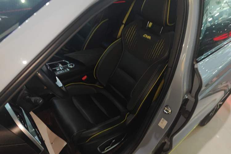 Used Geely Auto Monjaro S 2021 2.0TD Automatic Two-Wheel Drive Lightning Edition Left Front Seat