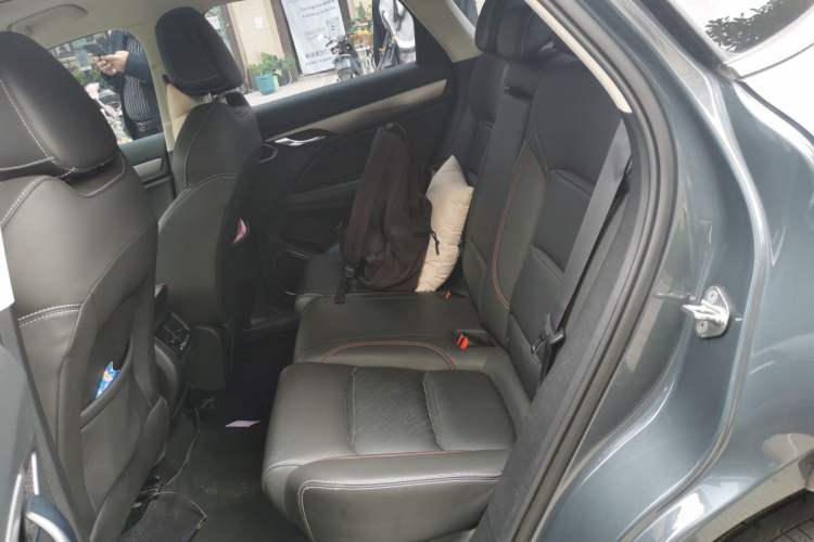 Used Geely Auto Monjaro S 2021 2.0TD DCT Two-Wheel Drive Lightning Edition Left Rear Seat