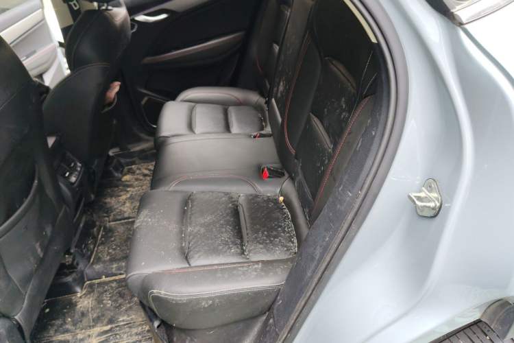 Used Geely Auto Monjaro S 2021 2.0TD DCT Two-Wheel Drive Lightning Edition Left Rear Seat