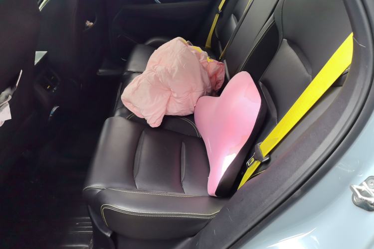 Used Geely Auto Monjaro S 2021 2.0TD DCT Two-Wheel Drive Lightning Edition Left Rear Seat