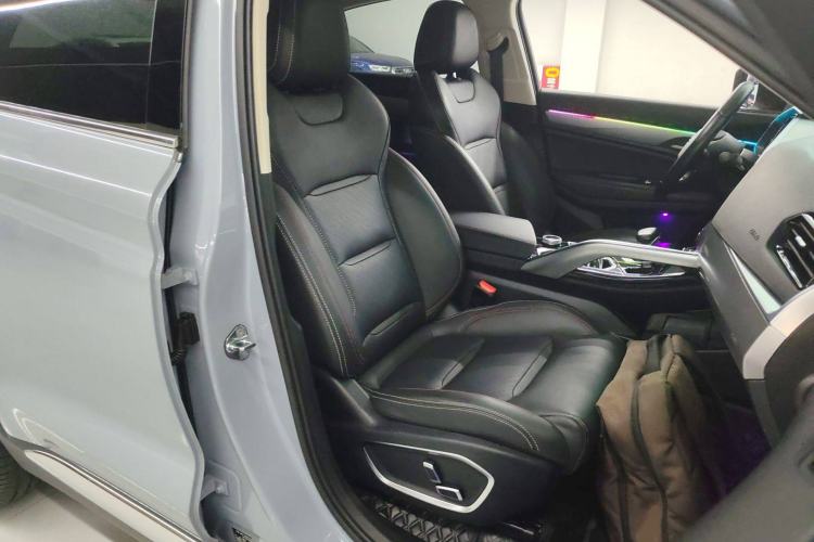 Used Geely Auto Monjaro S 2021 2.0TD DCT Two-Wheel Drive Lightning Edition Right Front Seat