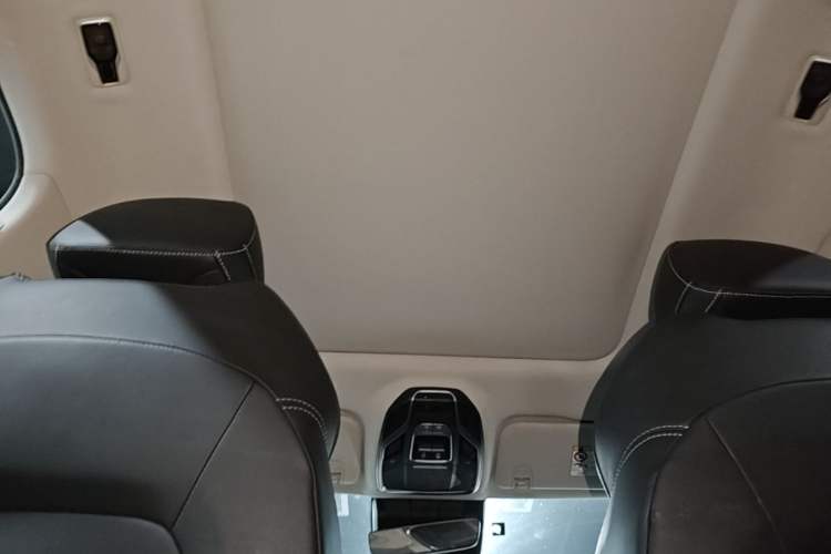 Used Geely Auto Monjaro S 2021 2.0TD DCT Two-Wheel Drive Lightning Edition Headliner