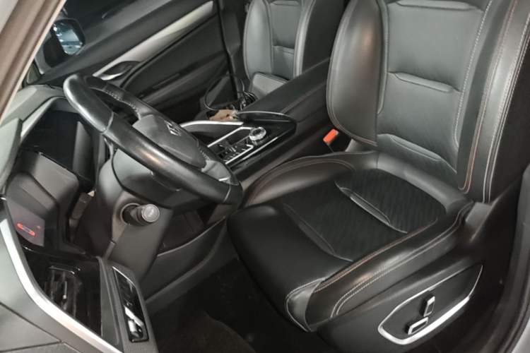 Used Geely Auto Monjaro S 2021 2.0TD DCT Two-Wheel Drive Lightning Edition Left Front Seat