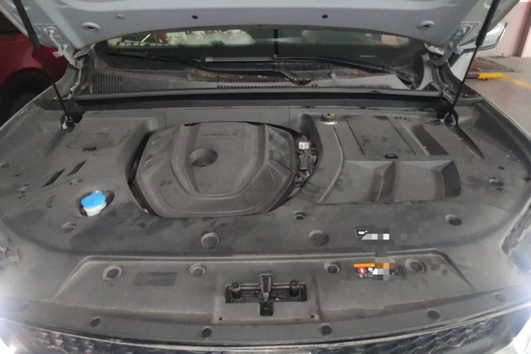 Used Geely Auto Monjaro S 2021 2.0TD DCT Two-Wheel Drive Lightning Edition Engine Bay