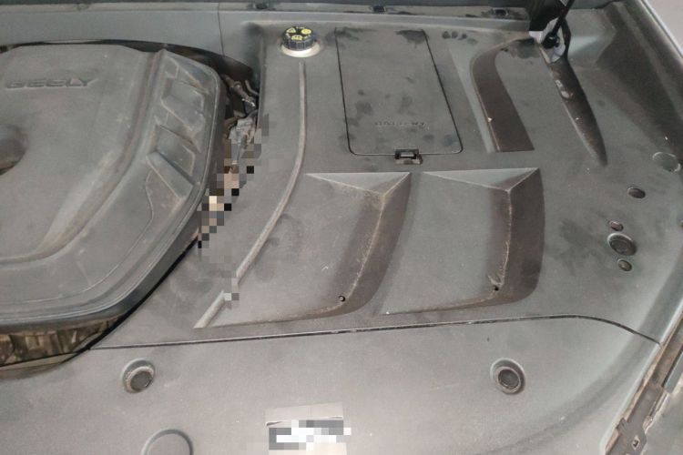 Used Geely Auto Monjaro S 2021 2.0TD DCT Two-Wheel Drive Lightning Edition Engine Bay Left