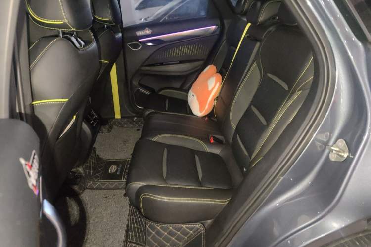 Used Geely Auto Monjaro S 2021 2.0TD Automatic Two-Wheel Drive Lightning Edition Left Rear Seat