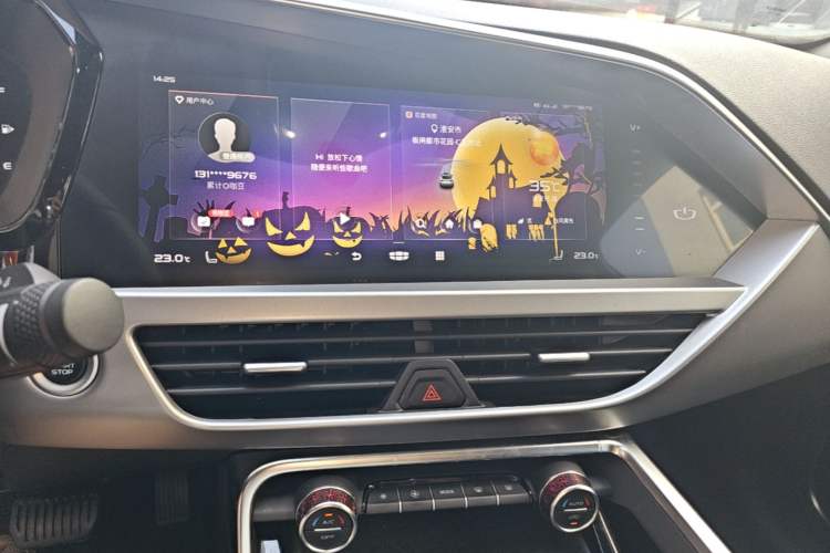 Used Geely Auto Monjaro S 2021 2.0TD DCT Two-Wheel Drive Lightning Edition Audio And AC Panel