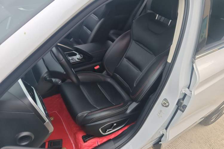 Used Geely Auto Monjaro S 2021 2.0TD DCT Two-Wheel Drive Lightning Edition Left Front Seat
